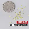 Malla nano autoadhesiva invisible para ventana, mosquitero autoadhesivo de autoinstalación, en stock, PP encriptado para uso doméstico, succión magnética