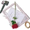 Flor Artificial de Acacia Rosa Individual Simulada Flor Falsa Flor Artificial Flor de Boda Fila de Piso Flor de Paisajismo Decoración de Ramo de Alta Gama