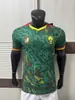 2627 Novas Camisas de Futebol Versão Jogador, o Mesmo Estilo das Camisas Usadas em Partidas da Escócia, País de Gales e Uruguai, Podem Ser Impressas com Números e Enviadas em Nome de Terceiros