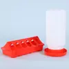 Comedero para Codornices Cerámica Alimentador Polluelos Codorniz Bebedero Automático Botella de Agua Alimentador Caja de Comida Canaleta Caja de Alimento