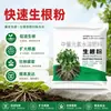 [Enraizamento Poderoso] Agente de enraizamento poderoso para estacas de plantas, líquido de enraizamento de ação rápida, adequado tanto para propagação de mudas quanto para transplante
