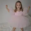 Vestido Princesa com Mangas Bufantes para Bebê de Um Ano, Design Fofo para Aniversário de Menina, Vestido Volumoso