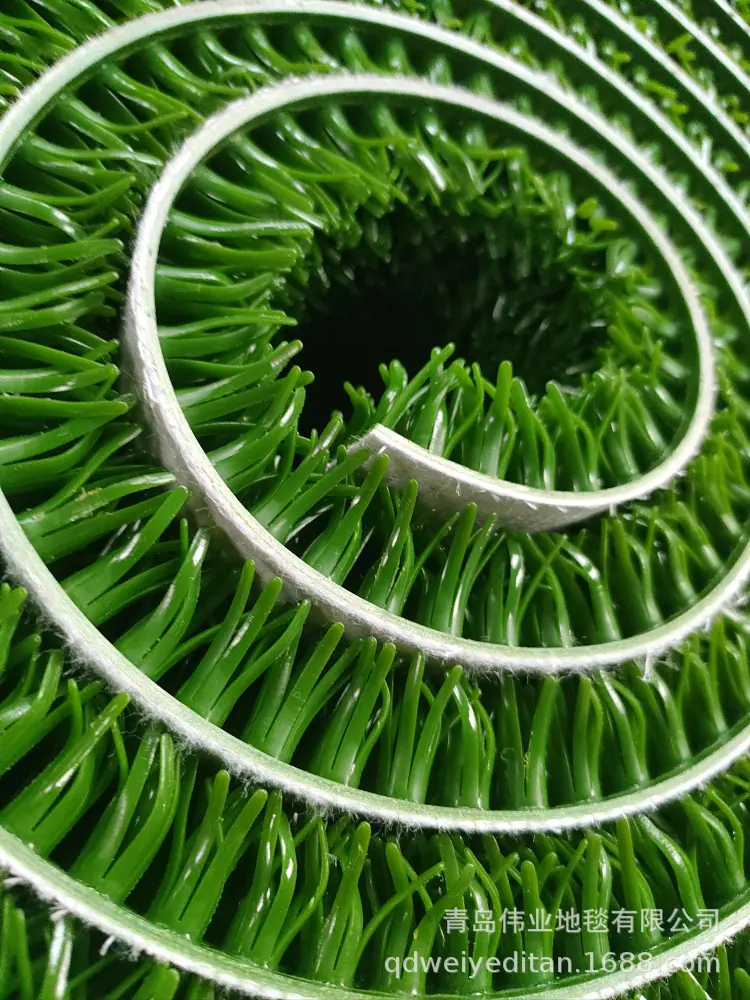 淘金草