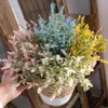 Flores Artificiais do Fabricante de Capim Marinho, Flores Artificiais para Decoração de Casamento Atacado, Plantas Verdes Transfronteiriças Estilo Ins, Buquês de Mão