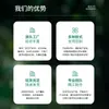 Planta de Hierba de Junco Simulada Personalizada Bonsái Decoración de Ventana Piso Hierba Cola de Perro Heno Césped Cebolla Planta Verde Planta en Maceta