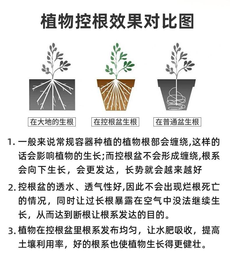 控根加仑盆详情新_03.jpg