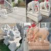 Un Par de Esculturas de Elefante de Piedra Hechas de Mármol Blanco, Esculturas de Animales Auspiciosos para la Entrada de Hoteles y Clubes