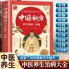 Receitas Secretas Chinesas para Preservação da Saúde e Tratamento de Doenças: Um Guia Abrangente de Remédios da Medicina Tradicional Chinesa para Eliminar Pequenos Males, Prevenir Doenças Graves e Fortalecer a Imunidade