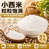 Perlas de Sagú Pequeñas, Transparentes y Masticables para Uso Doméstico y Comercial, Adecuadas para Tiendas de Té con Leche. Las Perlas de Sagú Están Disponibles en Cantidad Suficiente y Se Pueden Enviar Individualmente, al por Mayor y al por Menor