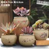 Vasos de Cerâmica Bruta Sem Esmalte para Flores Frescas com Características Zen Criativas, Novo Conjunto Respirável para Plantas Suculentas, Frete Grátis