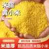 Mijo Amarillo de Shaanxi Mizhi Producido en Granja de Temporada, Granos Gruesos y Llenos, Granos Enteros, Gachas de Mijo Amarillo para el Desayuno