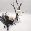 Acessórios de Aromaterapia Sem Fogo Combinação de Decoração Difusora de Óleo Essencial de Salgueiro Negro