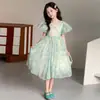 Vestido de Princesa Floral Super Fada para Meninas Verão 2026 Novo Estilo Vestido de Verão Infantil Vestido Elegante com Manga Bufante para Crianças Mais Velhas