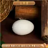 Modelos de huevos simulados, huevos de pato falsos, huevos de ganso, huevos de avestruz, huevos de dinosaurio, huevos de codorniz, huevos de Pascua para pintar DIY, accesorios para fotografía