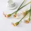 Flor Artificial Lirio de Calas EVA Feel Lirio de Calas Suministro Transfronterizo Floristería de Bodas Paisajismo Decoración del Hogar Flor Falsa Venta al por Mayor