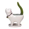 Suministro Jardinería Transfronteriza Amazon Cola de Gato Cactus Carnoso Maceta de Cerámica Dibujos Animados Lindos Adornos de Personalidad