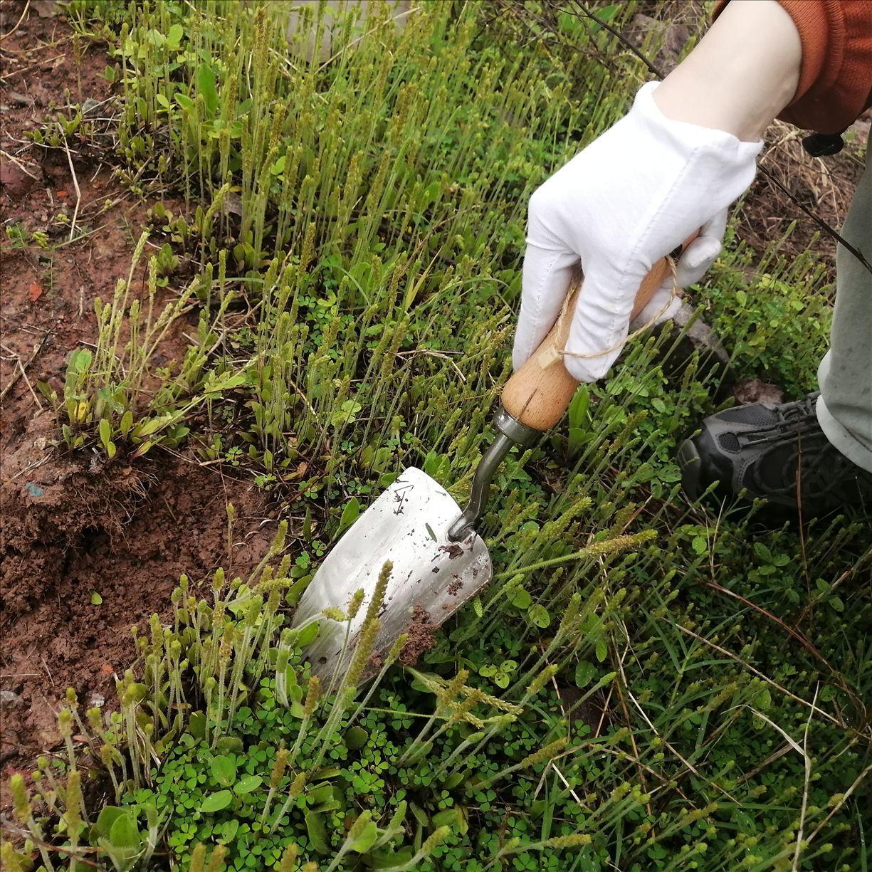 微信图片_20250419151937_已修改