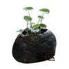 Macetas Pequeñas de Inspiración Zen, Macetas de Piedra, Macetas para Suculentas, Macetas para Juncos, Macetas para Hierba del Dinero, Macetas de Piedra Natural para Acuarios, Macetas Creativas para Narcisos