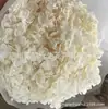 [Niebla Natural Hortensia] Flor Eterna Flor Seca Hortensia Anna Hortensia Lobular Material para Boda DIY Venta al por Mayor