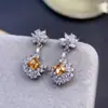 Brincos Fanta Naturais de Alta Qualidade Prata Esterlina S925 Brincos com Design de Floco de Neve em Zircônia Elegantes Elegantes Elegantes Elegantes