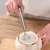 Rallador de Coco Rallado de Acero Inoxidable Rallador de Escamas de Pescado Herramienta para Quitar Semillas Rallador de Pulpa de Coco para Cocina Casera Herramienta para Cavar Pulpa de Coco