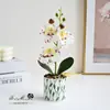 Planta en maceta pequeña Phalaenopsis de tres flores y dos frutos, adorno de planta verde con flor artificial, decoración de flor en maceta para el hogar, flor artificial