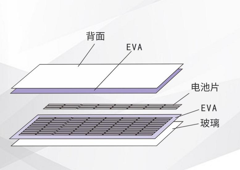详情4