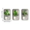 Novo Adesivo de Parede Decorativo Amazon com Três Azulejos de Planta Verde em Vaso, Janela Falsa, Parede de Fundo para Sala de Estar e Entrada