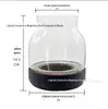 Vaso Estilo Japonês Vidro Transparente Ornamento para Arranjo de Flores Vaso Hidropônico Rabanete Verde Centelha de Vênus Mesa Aquário Ecológico para Peixes Dourados