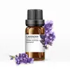 Máquina de Aromaterapia para Oficina en Casa Aceite Esencial de Planta Procesamiento Personalizado DIY Cristal Aceite Esencial Ambientador Fragancia Elegante