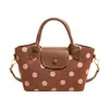 Bolso tote retro literario de estilo fresco transfronterizo, bolso cuadrado pequeño, bolso cruzado Longxiang, diseño de nicho con sensación de alta gama, bolso de lunares