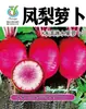 Paquete Pequeño de una Variedad de Semillas de Verduras 8* 10cm Los Paquetes Pequeños Se Pueden Usar como Regalos Fábrica de Semillas de Verduras Venta al por Mayor