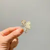 Corea del Sur Flequillo Pasador Corona Pedrería Pinza Pequeña de Agarre Temperamento Pasador Lateral Chica Celebridad de Internet Tocado Pinza de Tiburón