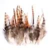 80 Tipos de Penas Naturais de Faisão, Penas Reais, Decorações Nativas Americanas, Acessórios DIY, Acessórios de Cabelo, Peças para Brinquedo de Vara para Gato