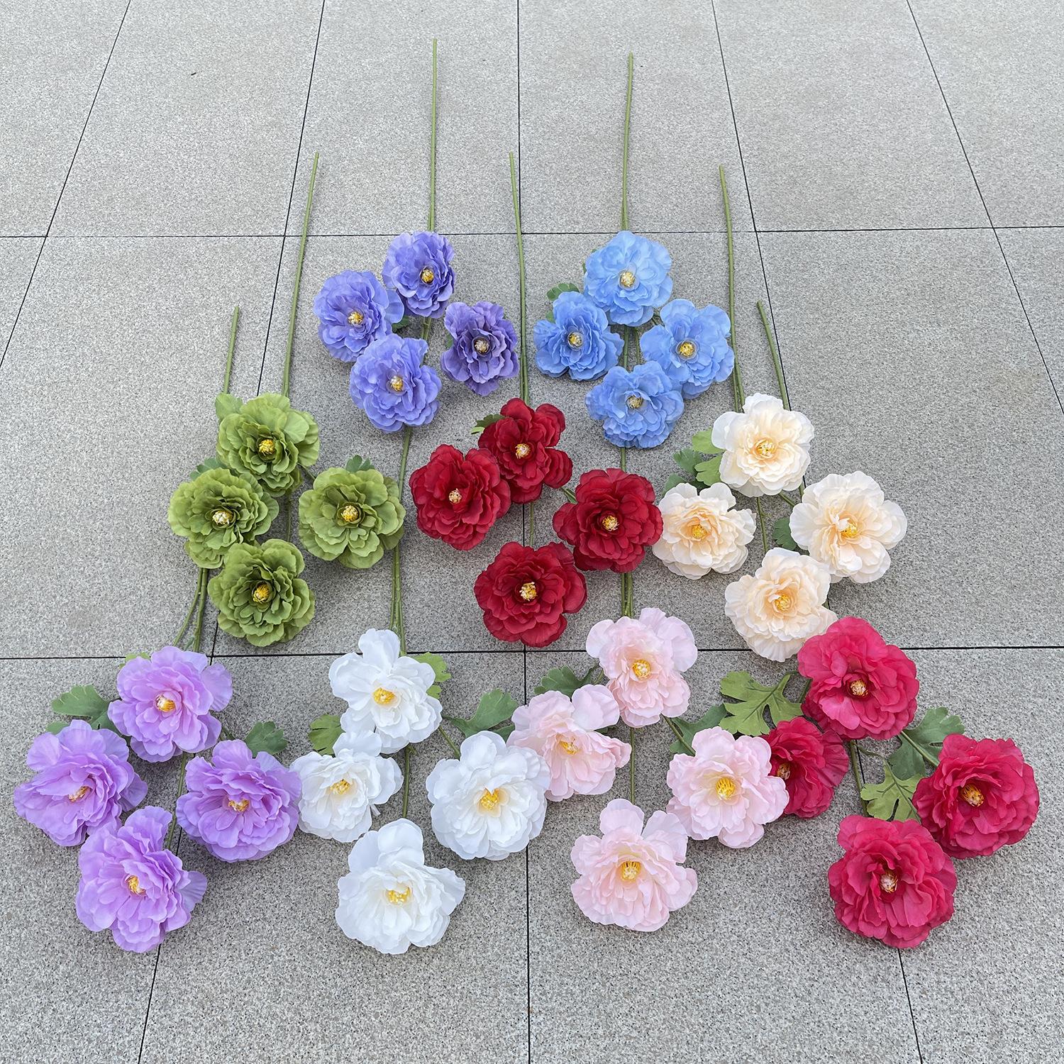 主图 花溪谷 色卡.JPG