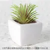 Suculentas Simuladas Personalizadas Cerámica Bonsái Plantas Verdes Escandinavas Adornos Hogar Interior Sala de Estar Flores Falsas Suculentas Plantas en Maceta