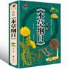 Uma Coleção Completa de Terapia Dietética para Todas as Doenças, Huangdi Nei Jing, Shennong Materia Medica, Tang Tou Song Jue, Acupuntura e Ventosaterapia, Ilustrações em Cores