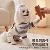 Ropa Nueva para Perros Otoño e Invierno Cálida de Pana Ropa de Cuatro Patas para Paseos al Aire Libre Perros Pequeños y Medianos Ropa de Mascotas de Dibujos Animados