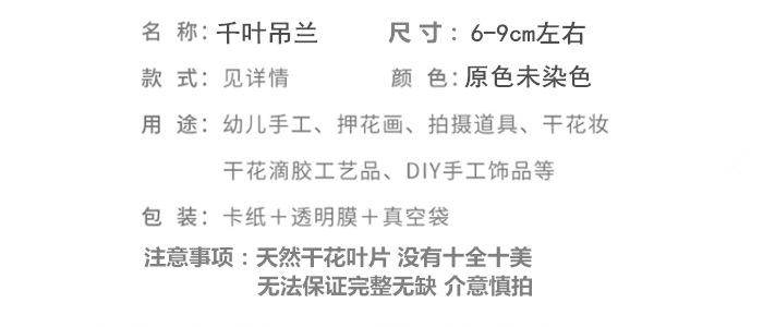 小号绣球_副本