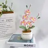 Flor artificial Phalaenopsis de producto terminado transfronterizo, planta en maceta de lana, planta en maceta simulada tejida a crochet hecha a mano, adorno de decoración de escritorio regalo