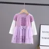 Vestido para Niña, Vestido de Primavera para Niña, Vestido de Princesa con Mangas Largas de Malla y Terciopelo Elsa para Niña Pequeña, Vestido de Frozen para Niña