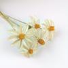 Ins Decoración al por Mayor Algodón Nomeolvides Natural Espigas de Trigo Ramo de Flores Secas Muebles para el Hogar Accesorios de Fotografía Frescos Pequeños