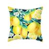 Funda de Cojín Nórdica Estampado de Frutas Frescas Pequeñas Funda de Cojín Piel de Durazno Funda de Cojín Lumbar para Oficina Muebles para el Hogar Transfronterizos