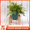 Producción de soporte de maceta de madera para el hogar balcón soporte pequeño para plantas suculentas madera de caucho mini soporte para plantas se puede configurar lo