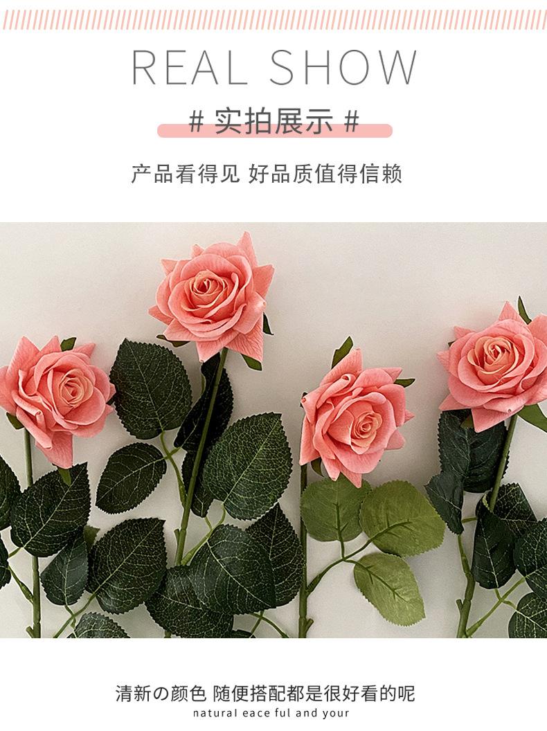 保湿玫瑰_07.jpg