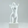 Accesorios para sesión de lencería expositor de sujetadores sujetador push up modelo molde para pantalones de trasero modelo de cuerpo pintura plástica