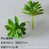 Simulação flor de veludo carnuda cabeça de flor planta artificial falsa combinação de vaso de aloe e cacto planta verde ornamentos de micro paisagem