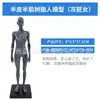 Resina Artística de 30 cm Modelo Humano Anatomía Musculoesquelética Modelo de Arte Pintura CG Escultura Enseñanza