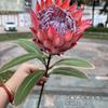Nova simulação de flores imperiais para decoração de hotéis e residências comércio exterior África do Sul flores imperiais para casamento flores falsas macias atacado