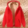 Suéter cárdigan cálido de terciopelo de cordero para hombre, nuevo, de otoño e invierno, con capucha y cremallera, combina con todo, abrigo grueso informal con forro polar